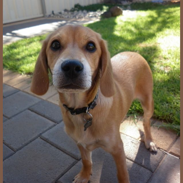 Photo of Earl *On Trial In His New Home*
