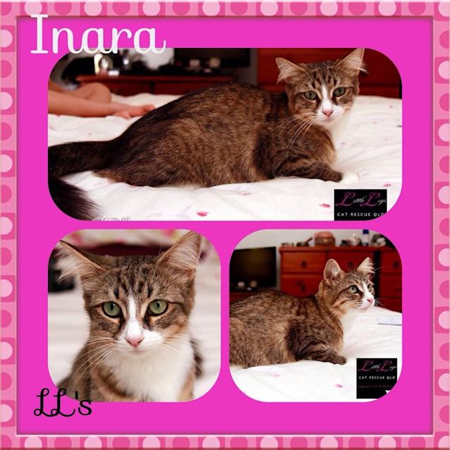 Photo of Inara 
