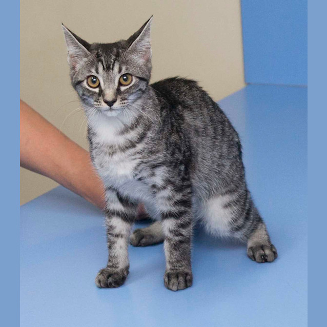 Photo of Prada