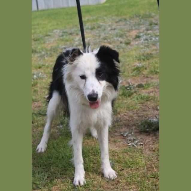 Photo of Elsa