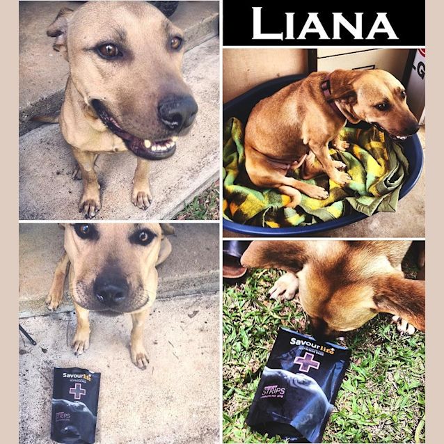 Photo of Liana