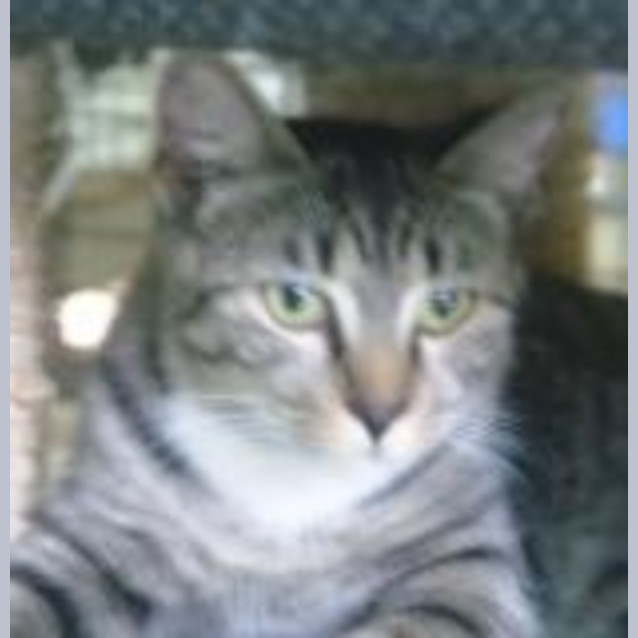 Photo of Ethel