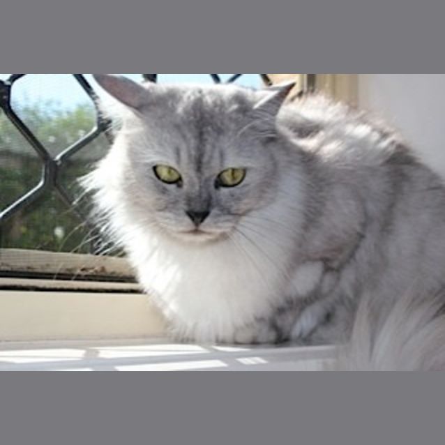 Photo of Cecilia