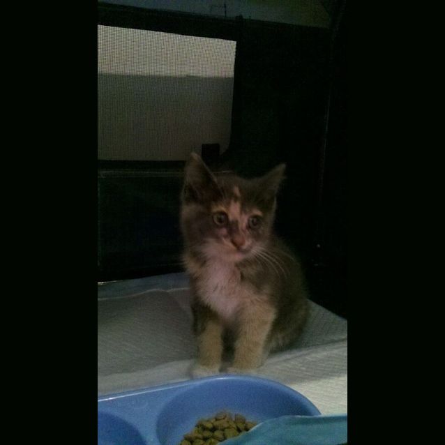 Photo of Astrid