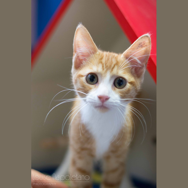 Photo of Mr Megsy