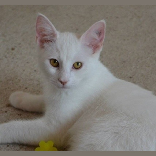 Photo of Brian (Ec0008)