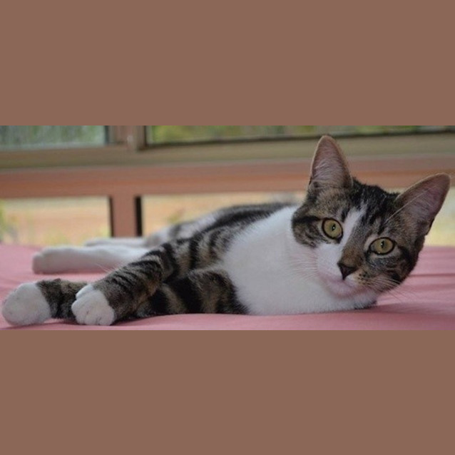 Photo of Marie (Ec0010)