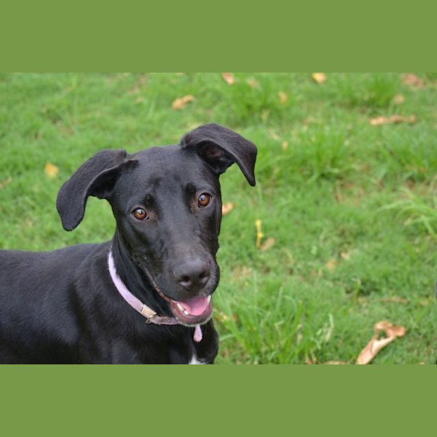 Photo of Holly