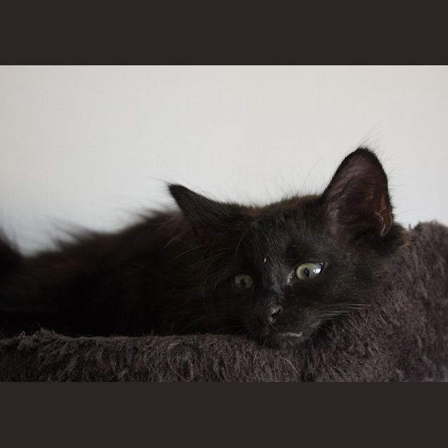 Photo of Tommy 