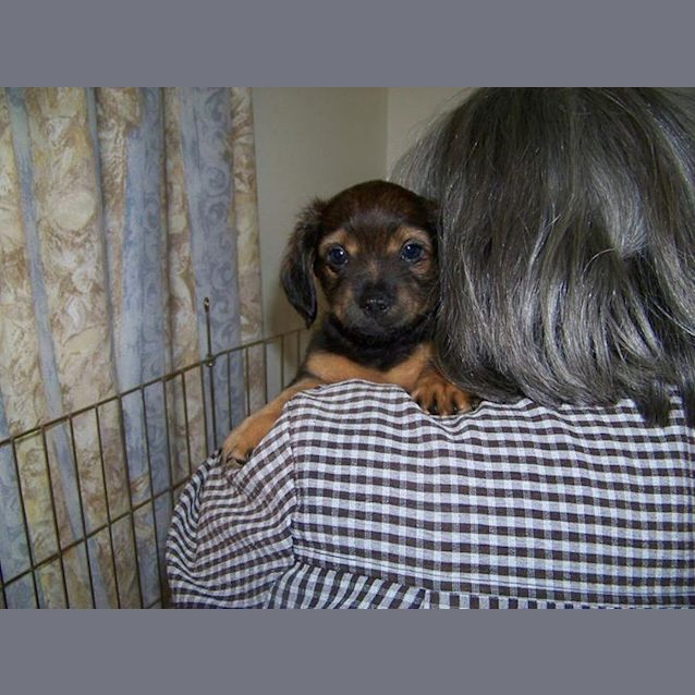 Photo of Charlie Is On Hold