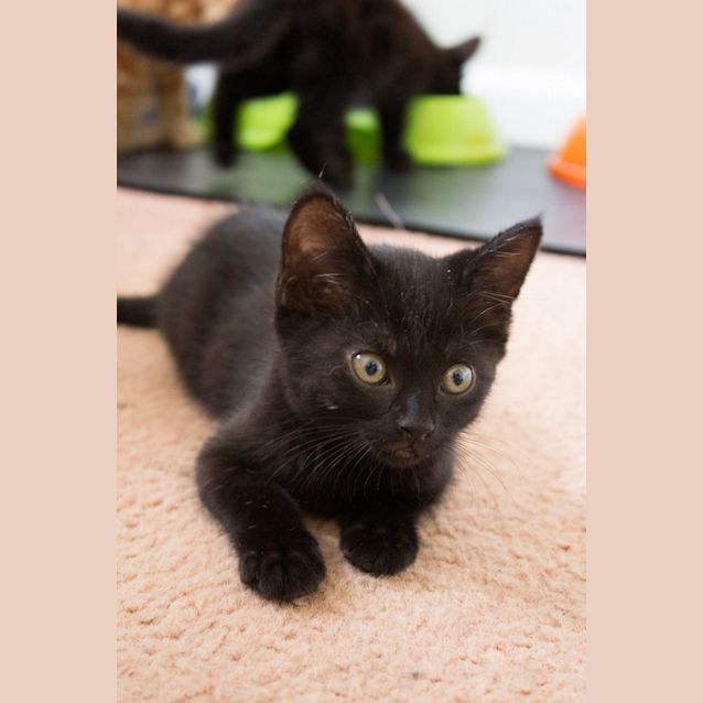 Photo of Betty 
