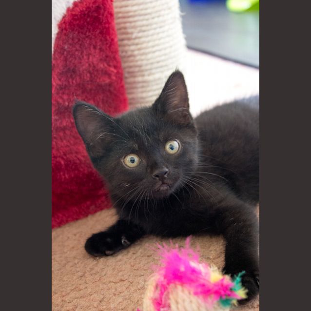 Photo of Betty 