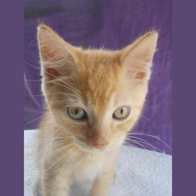 Photo of Billy