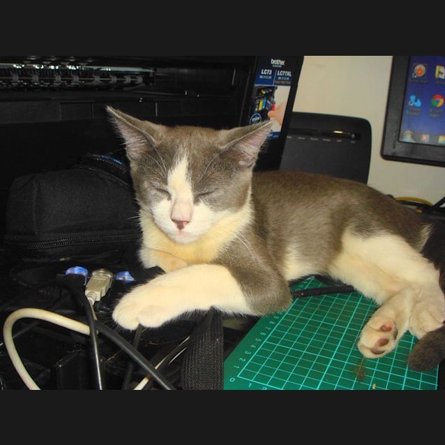 Photo of Jesse