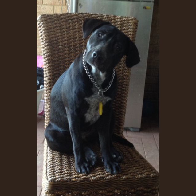 Photo of Macy
