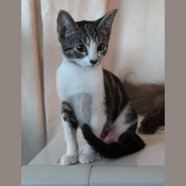 Photo of Cleo