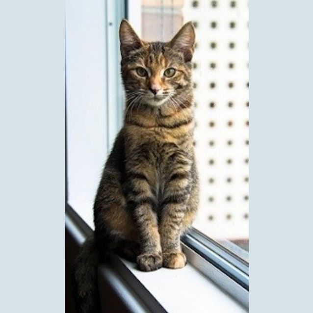 Photo of Evie (Ec0001)