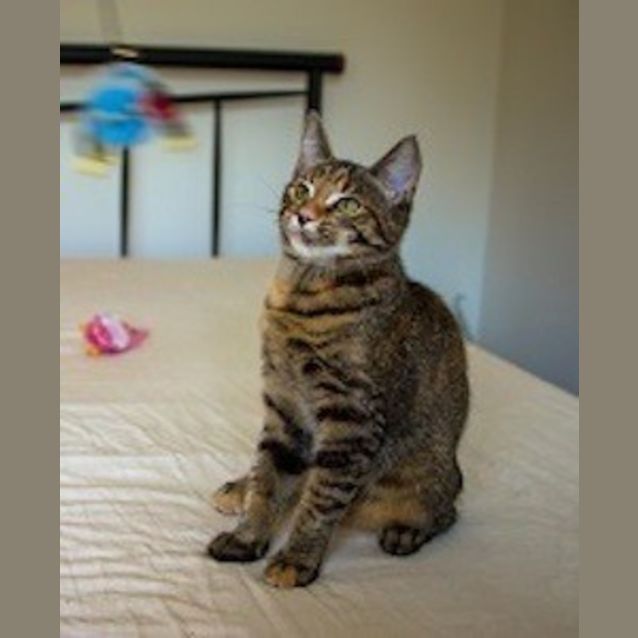 Photo of Evie (Ec0001)