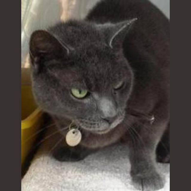 Photo of Sapphire