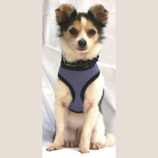 Photo of Mimmi