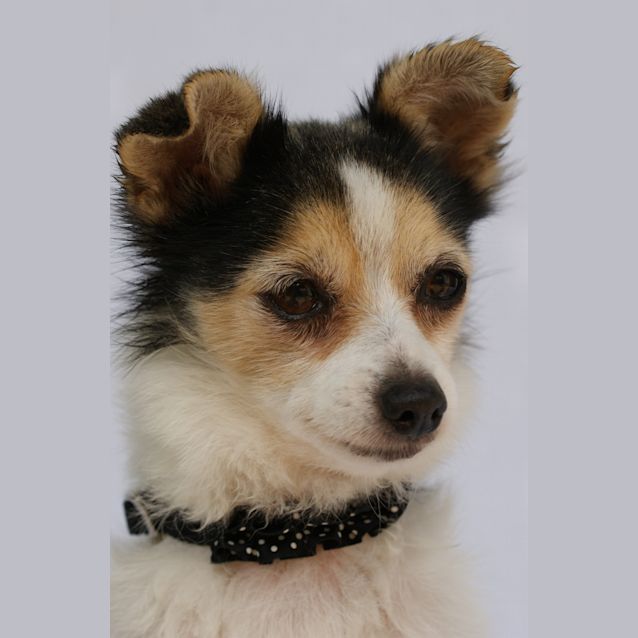 Photo of Mimmi