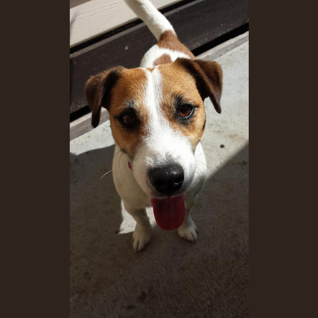 Photo of Wally