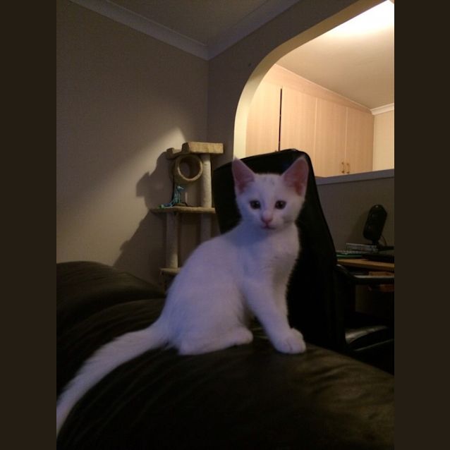 Photo of Jassy