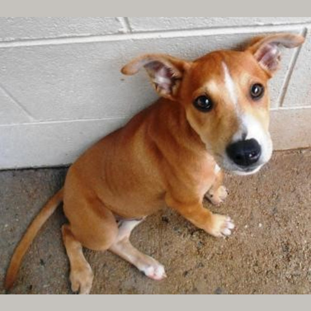 Photo of Turbo