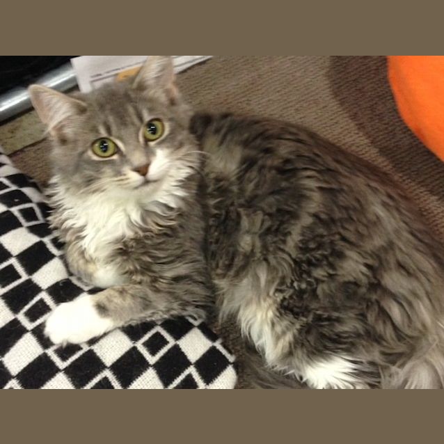 Photo of Ash