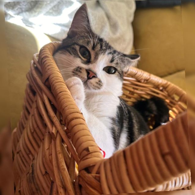 Photo of Pam Pam