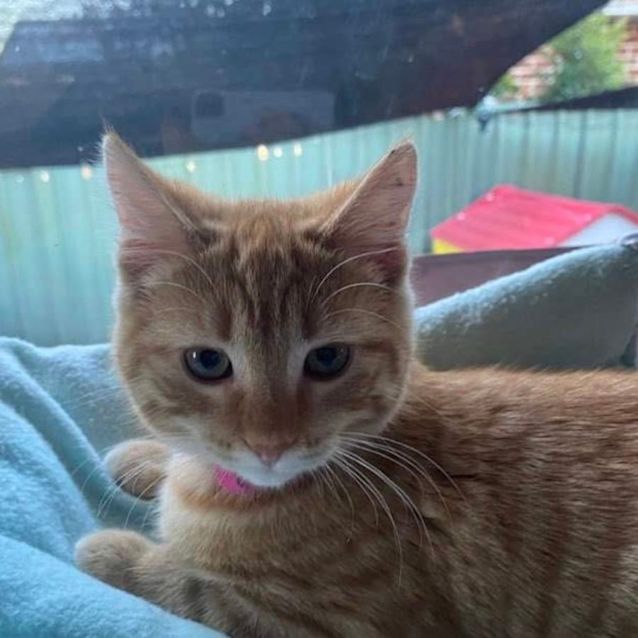 Photo of Lorelai 🧡