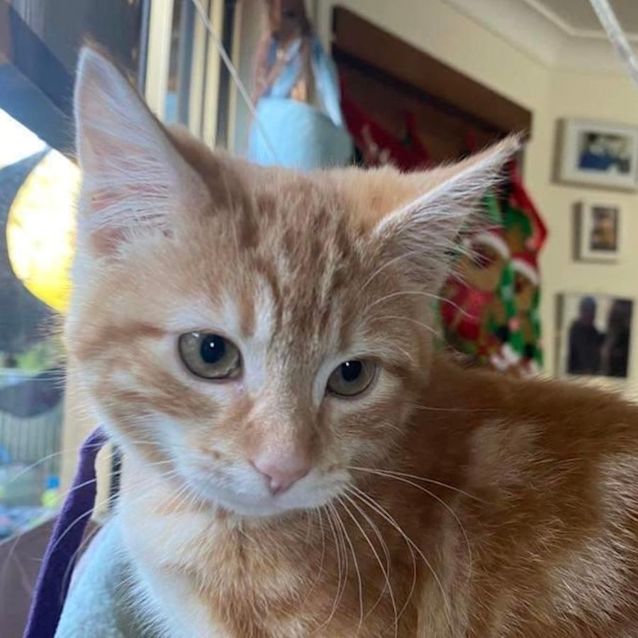 Photo of Sookie 💜