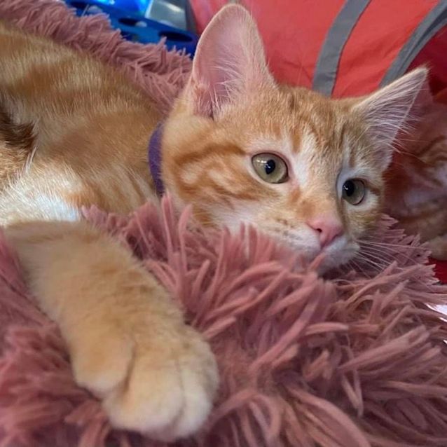 Photo of Sookie 💜