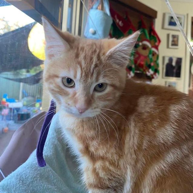 Photo of Sookie 💜