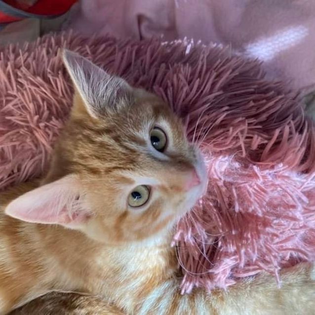 Photo of Sookie 💜