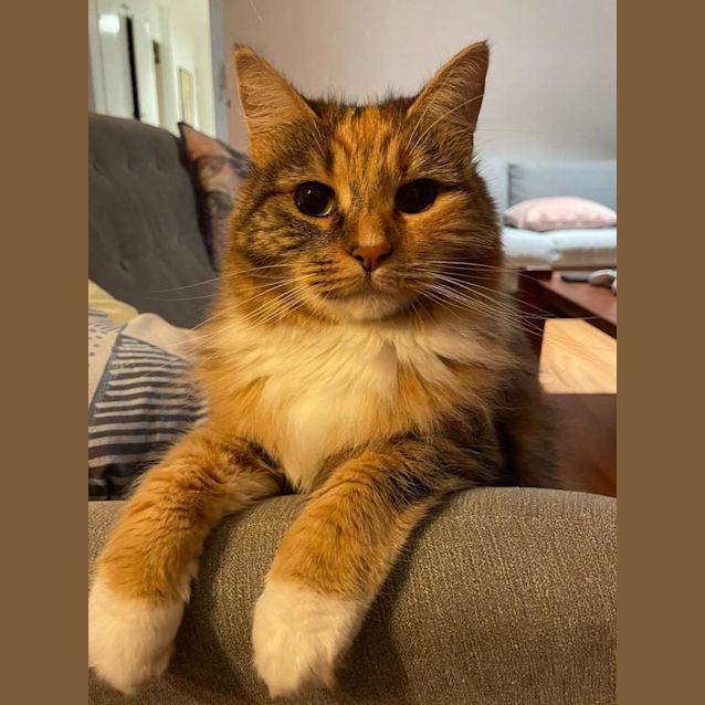 Photo of Cleo And Lili