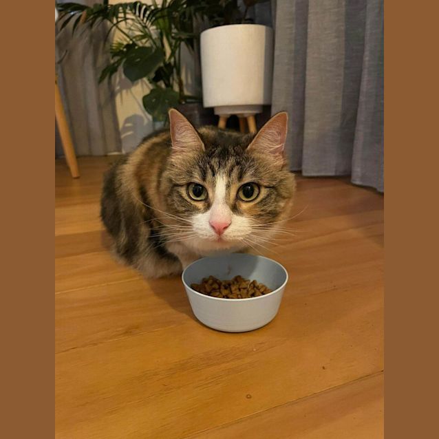 Photo of Cleo And Lili