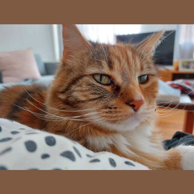 Photo of Cleo And Lili