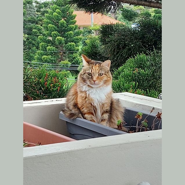 Photo of Cleo And Lili