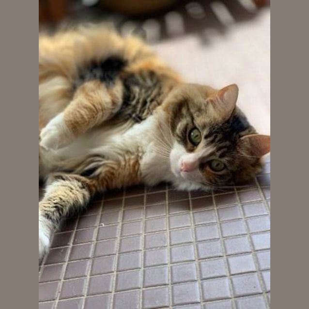 Photo of Cleo And Lili