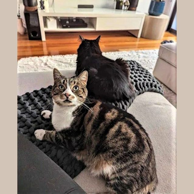 Photo of Barbados   Located In Brunswick East