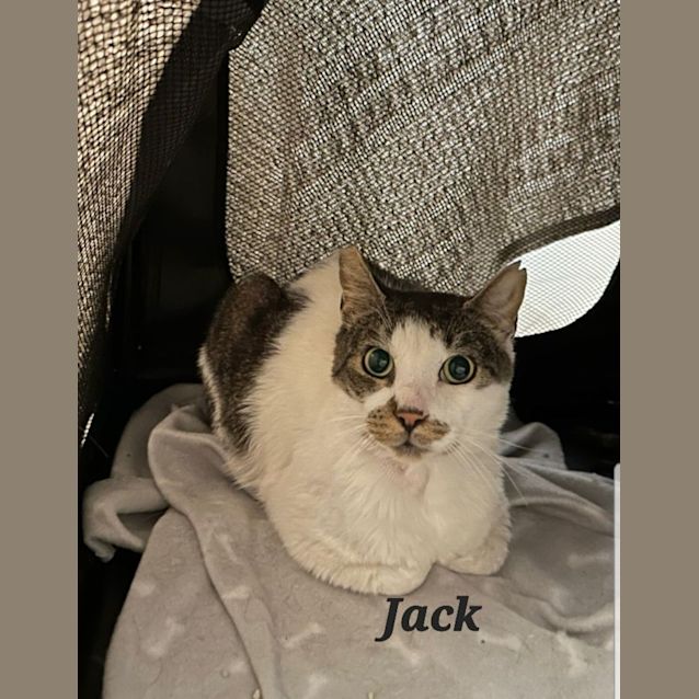 Photo of Jack