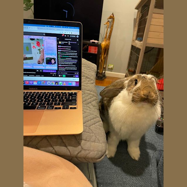 Photo of Jemima Kala