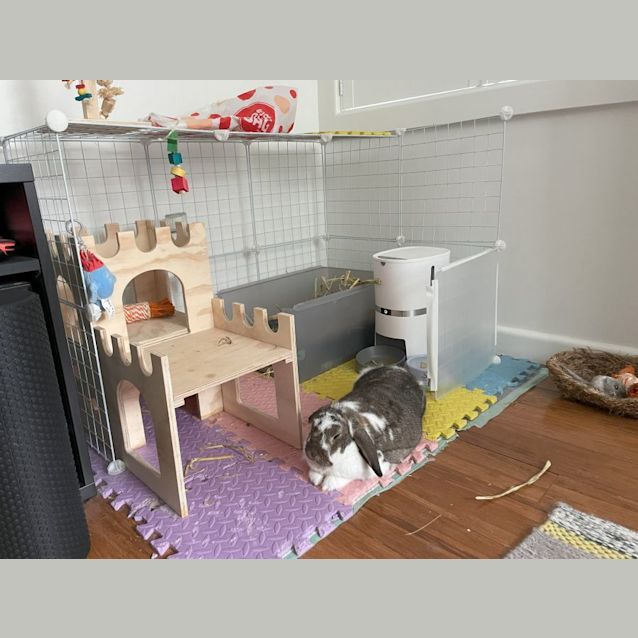 Photo of Jemima Kala