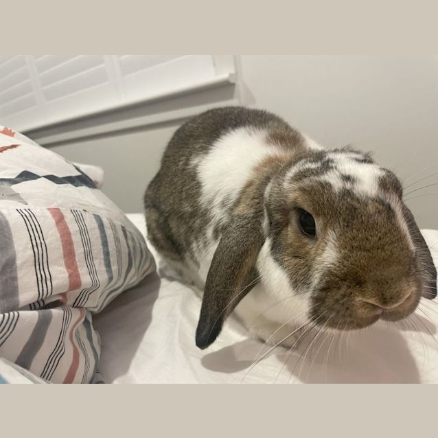 Photo of Jemima Kala