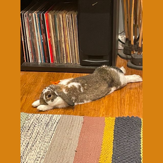 Photo of Jemima Kala