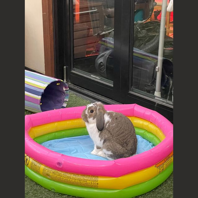 Photo of Jemima Kala