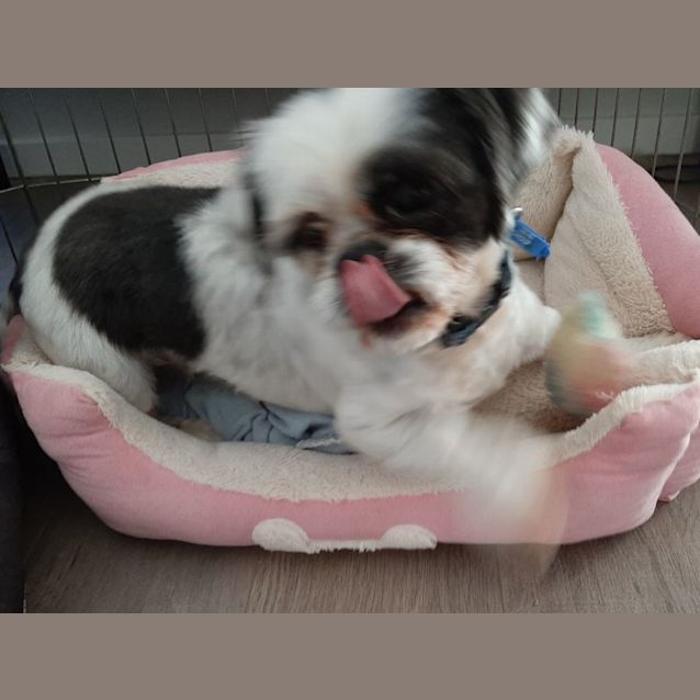 Photo of Lucy