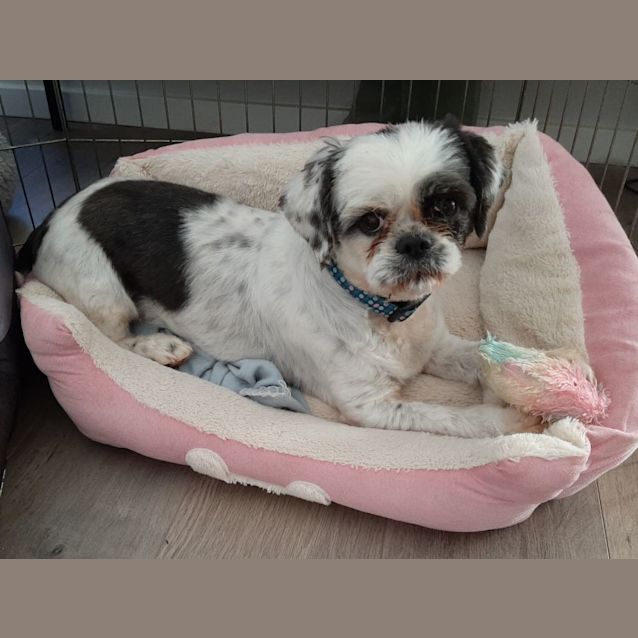 Photo of Lucy