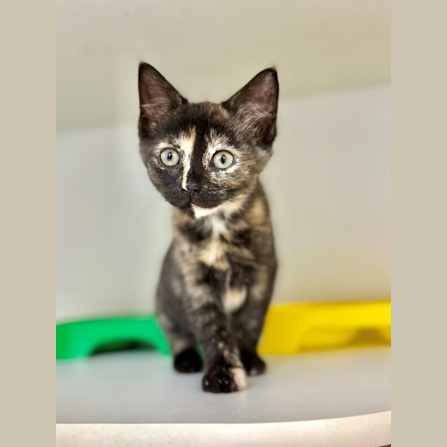 Photo of Mia